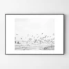 Seagulls Coast -Home Decor Shop webimage 630342225