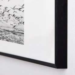 Seagulls Coast -Home Decor Shop webimage 630342225 DTL1