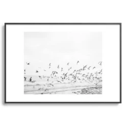 Seagulls Coast -Home Decor Shop webimage 630342225 SIL