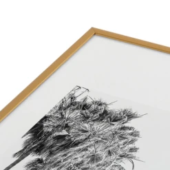 Laguna Cove -Home Decor Shop webimage 630608958 DTL2