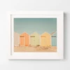 Beach Nuts 2 -Home Decor Shop webimage 630614239 1