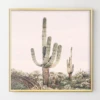 Pastel Pink Cactus -Home Decor Shop webimage 630620454