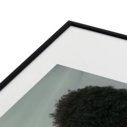 Venus 2 -Home Decor Shop webimage 630727209 DTL2