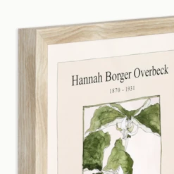 Overbeck Trillium Erectum -Home Decor Shop webimage 630820764 alt2