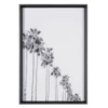 Sunset Palms 2 -Home Decor Shop webimage 725154241a jpg
