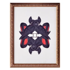 Home Decor Shop 41 Calyptorhynchus Banksi