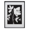 Whimsical Flowers 2 - Limited Edition -Home Decor Shop webimage 730587187 jpg
