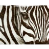 Zebra - Glass Coat -Home Decor Shop webimage 750394306 jpg