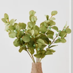 Eucalyptus Spray - Set Of 3