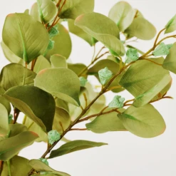 Eucalyptus Spray - Set Of 3 -Home Decor Shop webimage 999172481 dtl 1