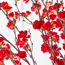 Plum Blossom Spray - Set Of 3 5 Plum Blossom Spray - Set Of 3 -Home Decor Shop webimage 999217220 ALT