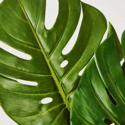 Faux Small Split Philo Leaf - Set Of 3 7 Faux Small Split Philo Leaf - Set Of 3 -Home Decor Shop webimage 999904554 dtl